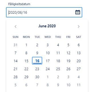 Date and Time selection in issues.JPG